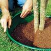 DIVISOR DE SOLO COM BORDA OVAL VERDE