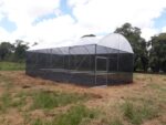 ESTUFA AGRICOLA MODELO PREMIUM 4 X 12 X 2