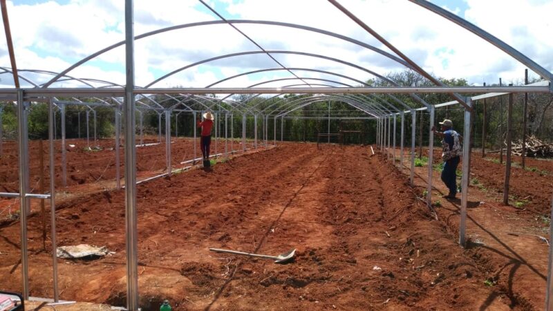 ESTUFA AGRICOLA MODELO PREMIUM 6 X 12 X 2