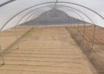 FILME TRANSPARENTE 2