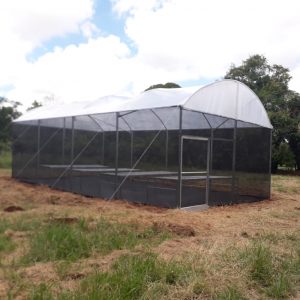 ESTUFA AGRICOLA MODELO PREMIUM 5 X 12 X 2,2 M