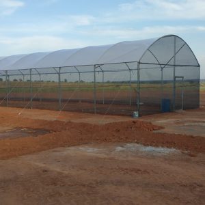 ESTUFA AGRICOLA MODELO PREMIUM 7 X 30 X 2,2 M