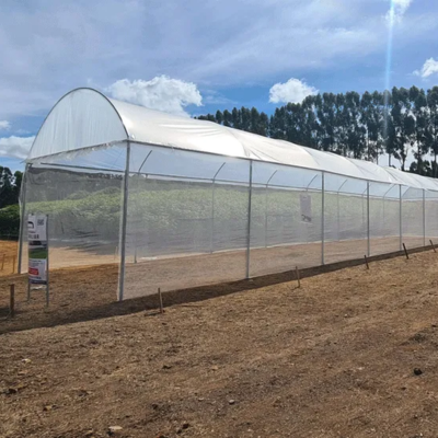 ESTUFA AGRICOLA TROP/5200 AGRIFAMILIAR - 5,2 X 30 X 2,2 M