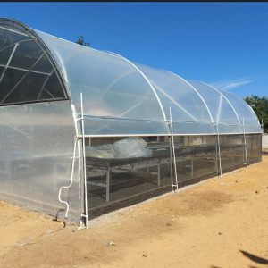 Estufa de Cacau 6,25mt x 12mt