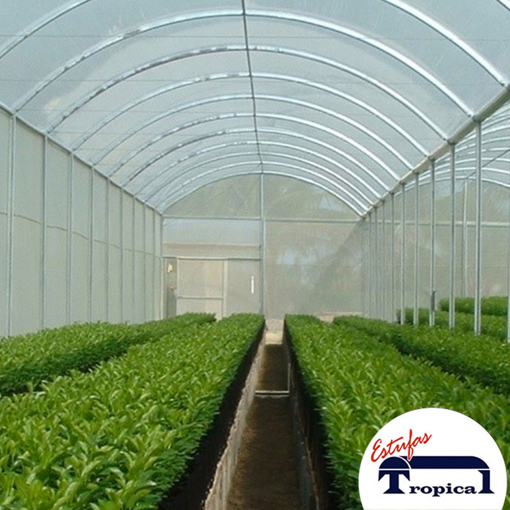 Estufa Agrícola Light 2 – 8 x 15 x 3,20m