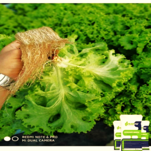 FERTILIZANTE FLEX AZUL/ ALFACE 12,5KG - PLANTPAR