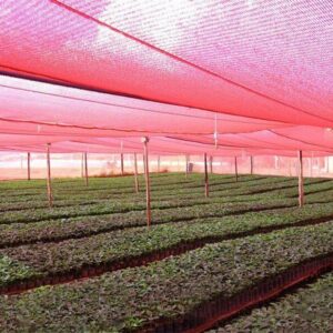 TELA CHROMATINET VERMELHA 35% - GINEGAR