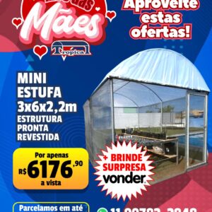 MINI ESTUFA AGRICOLA 3 X 6 X 2,2M