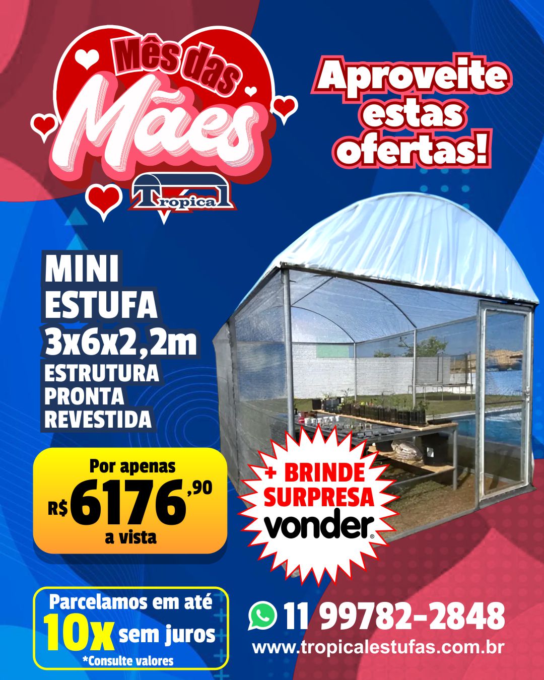 MINI ESTUFA AGRICOLA 3 X 6 X 2,2M