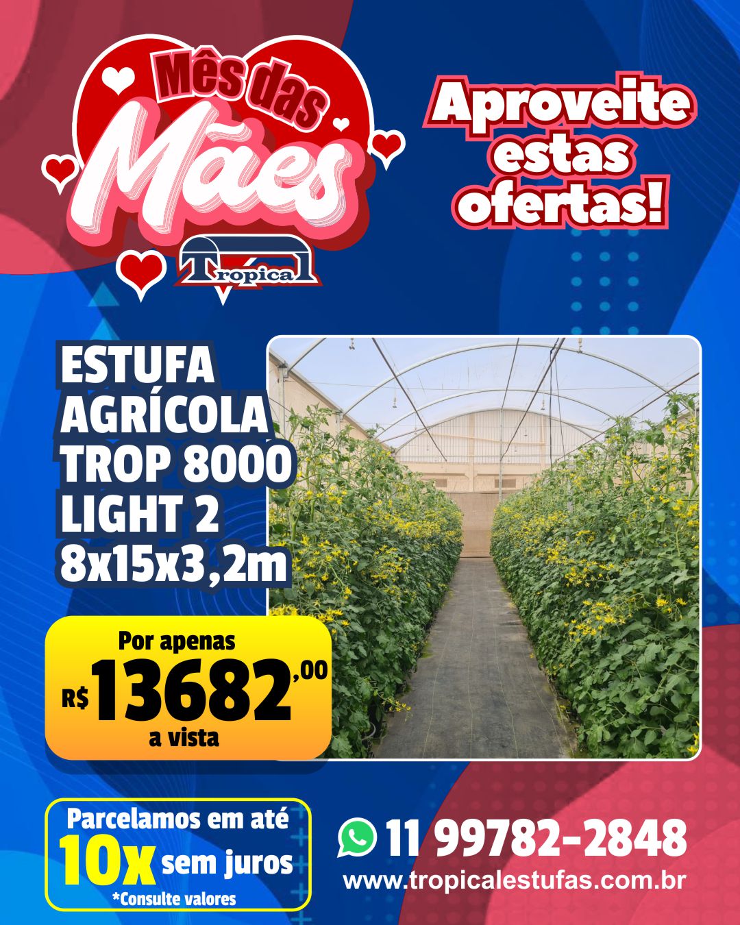 Estufa Agrícola Light 2 – 8 x 15 x 3,20m