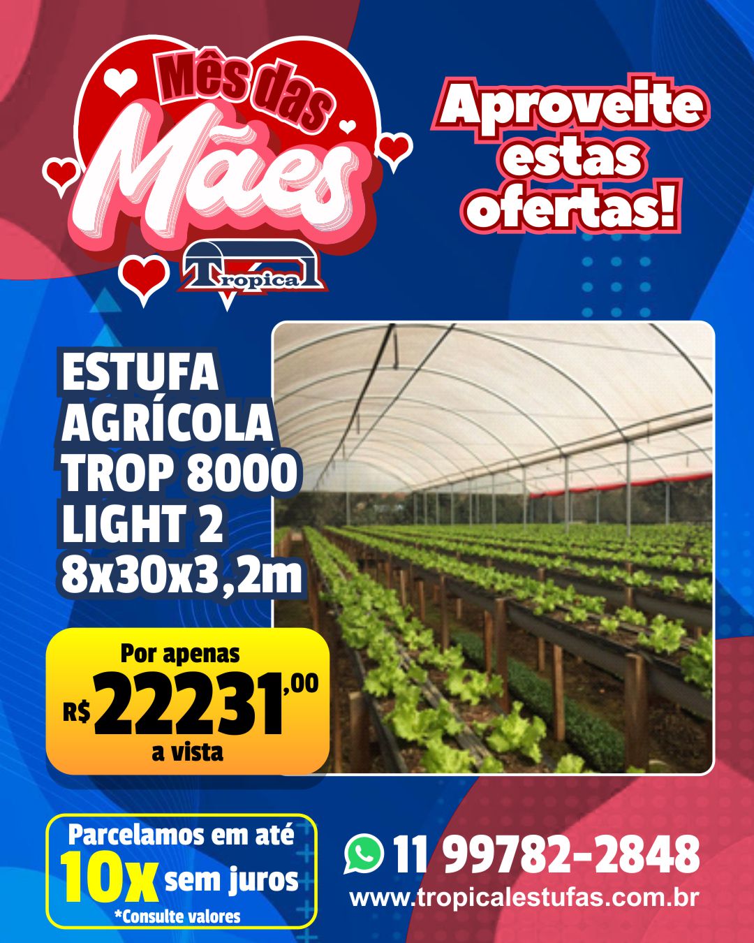 Estufa Agrícola Light 2 - 8 x 30 x 3,20m