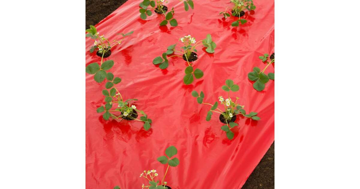 MULCHING PRETO/VERMELHO NEGREIRA 1,60 X 1000M