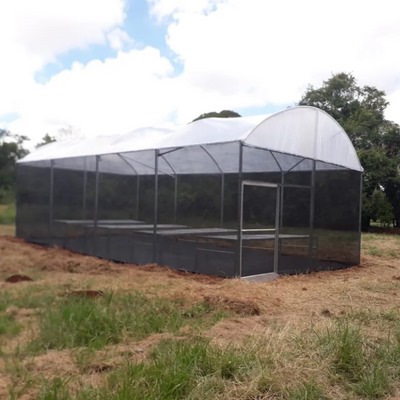 ESTUFA AGRICOLA MODELO PREMIUM 4 X 6 X 2,2 M