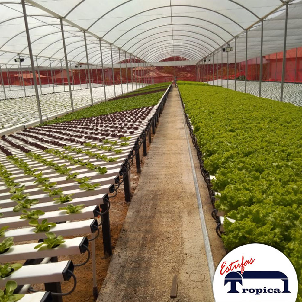 ESTUFA AGRICOLA 14 X 30 X 3,20M MODELO PREMIUM